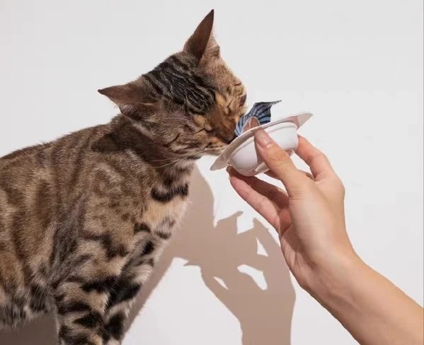 Che cos'è il coperchio del vassoio del cibo per animali domestici? Una guida completa per l'imbal...